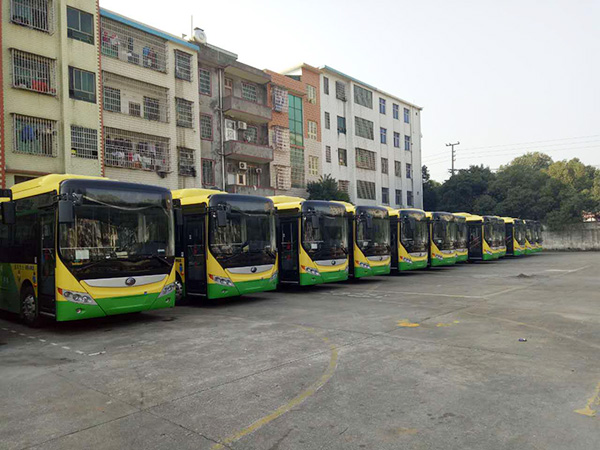 红龙扑克嘉禾城乡公交好司机，百万存折寻失主