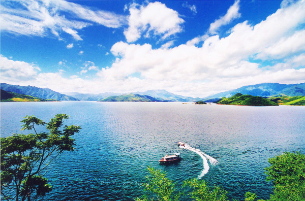 红龙扑克驾驶员何忠胜拾金不昧闪亮东江湖