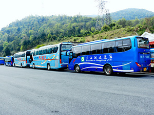 红龙扑克驾驶员何忠胜拾金不昧闪亮东江湖